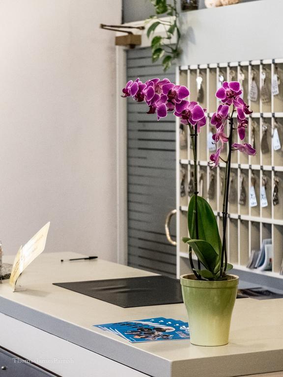 Hotel Giardino Breno Ngoại thất bức ảnh